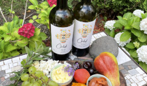 Top 5 Natural Wines from Georgia You Can Buy in Europe